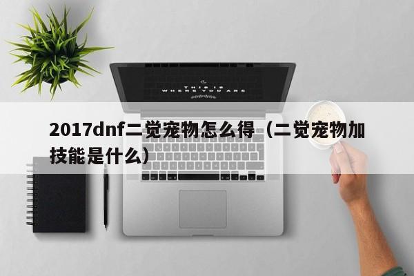 2017dnf二觉宠物怎么得（二觉宠物加技能是什么）