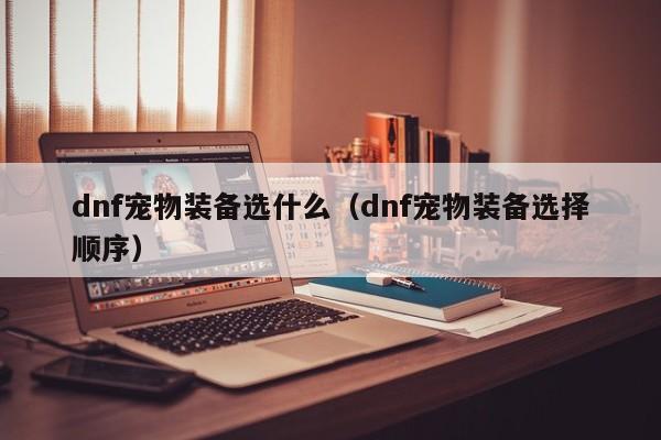 dnf宠物装备选什么（dnf宠物装备选择顺序）