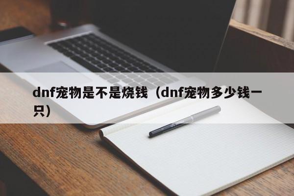 dnf宠物是不是烧钱（dnf宠物多少钱一只）