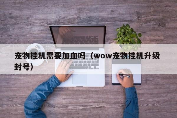 宠物挂机需要加血吗（wow宠物挂机升级 封号）