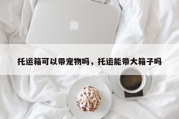 托运箱可以带宠物吗，托运能带大箱子吗